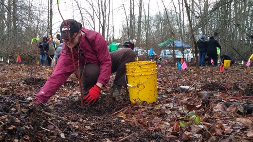 Park Restoration Event