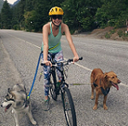 Amber with dogs